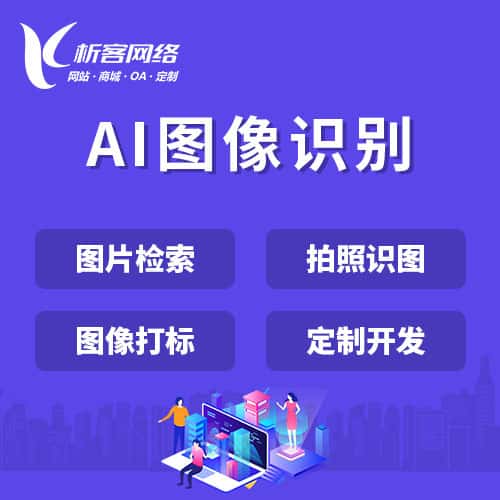 美国AI图像识别