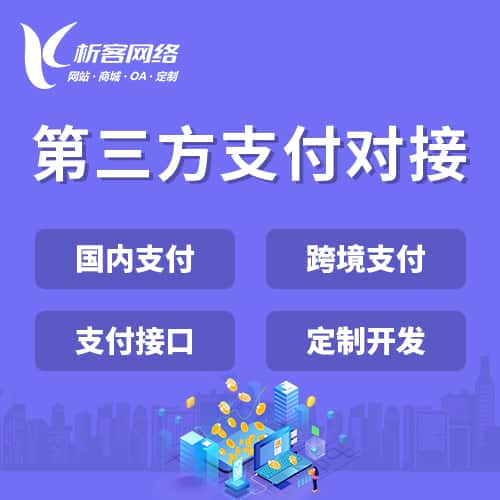 美国第三方支付