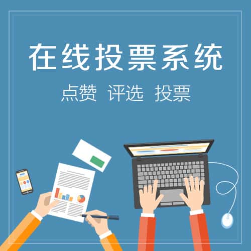 美国在线投票系统