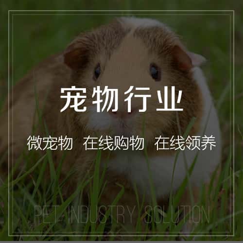 美国宠物