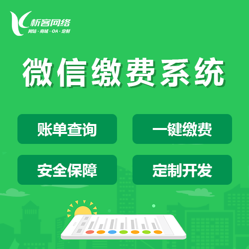 美国缴费系统