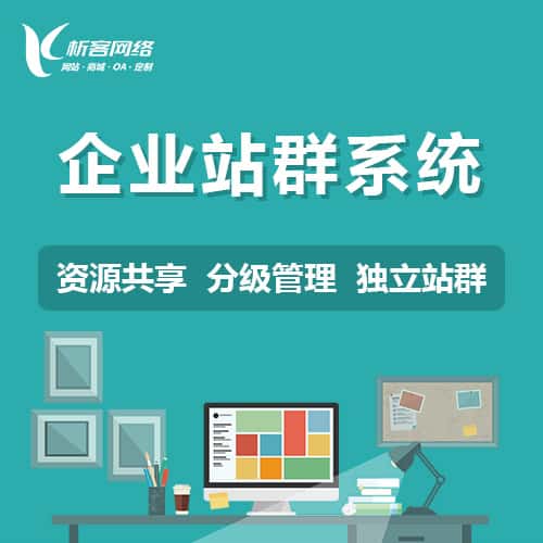 美国企业站群系统