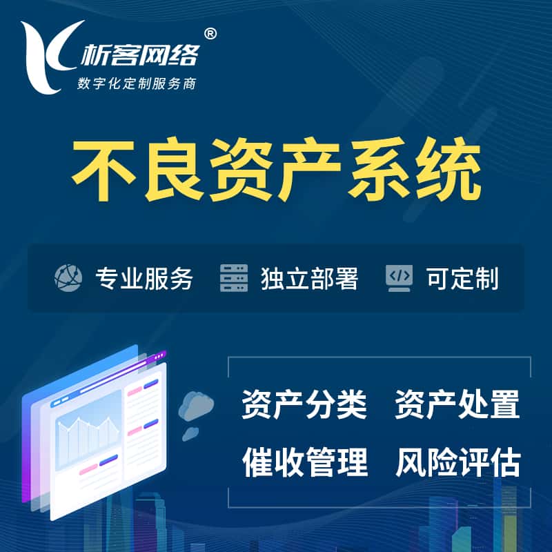 美国不良资产管理系统