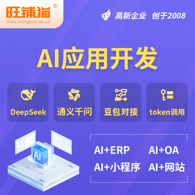 美国AI应用开发